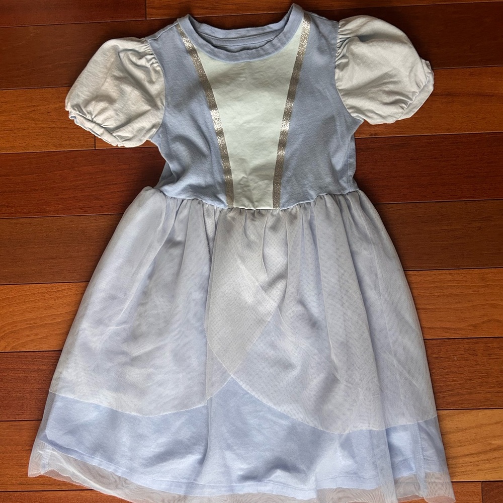 Baby Gap Cinderella Dress